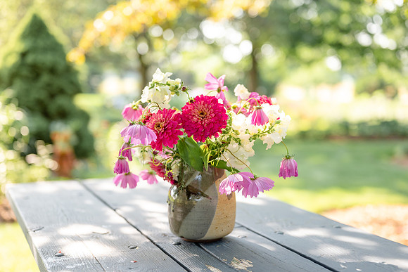 zinniastucson