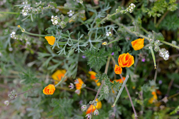 DSC_0023