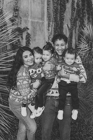 bracyfamilyminisession-16